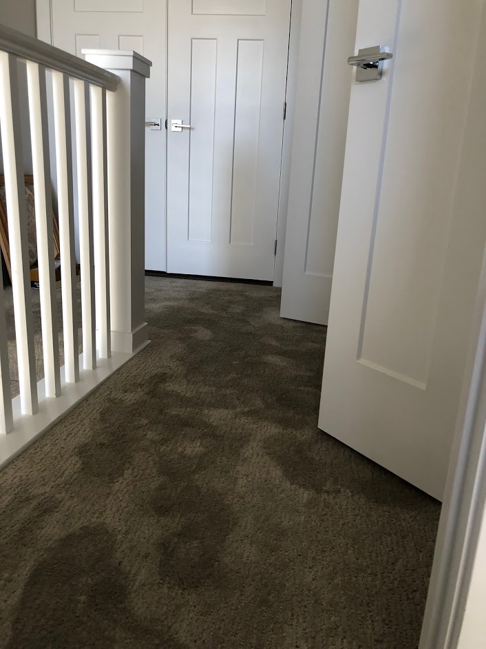 Water damaged carpet